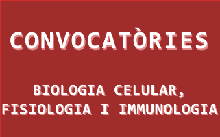 Convocatòries del Departament