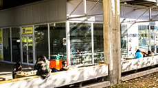 Cafeteria de Ciències Socials
