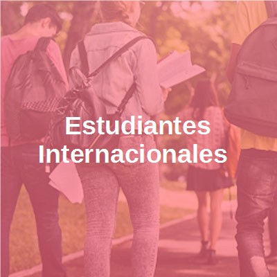 Estudiants internacionals al campus UAB