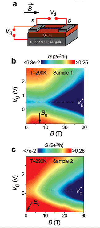 Efecte de camp induït magnèticament en transistors basats en nanotubs de carboni
