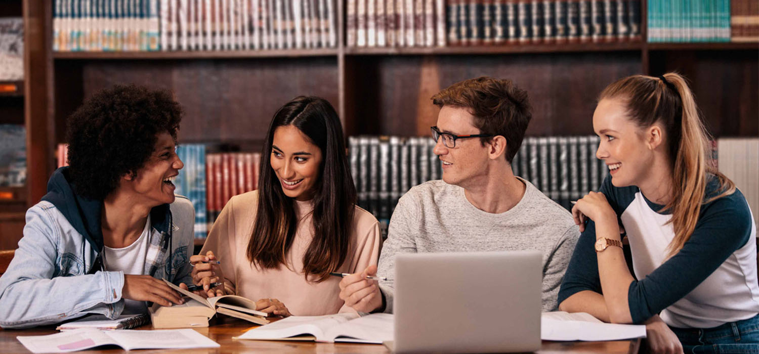 Studying french. Что читает университет. Study Group. Друзья на работе. Teaching staff.