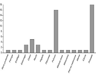 Neoplasies