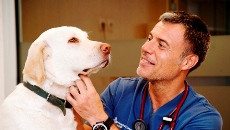 Hospital Clínic Veterinari