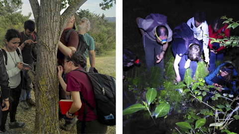 Èxit de participació i resultats al 1er Bioblitz UAB