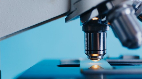 Nova convocatòria de les beques