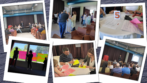 Collage Formació Col·lectiva