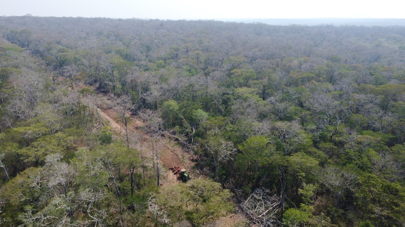Agricultural intensification, Indigenous stewardship and land sparing in tropical dry forests