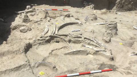 Excavacions a Olduvai 2019