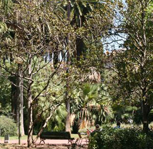 Jardí de Barcelona