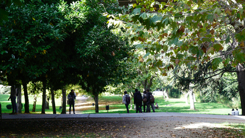 Campus de Bellaterra