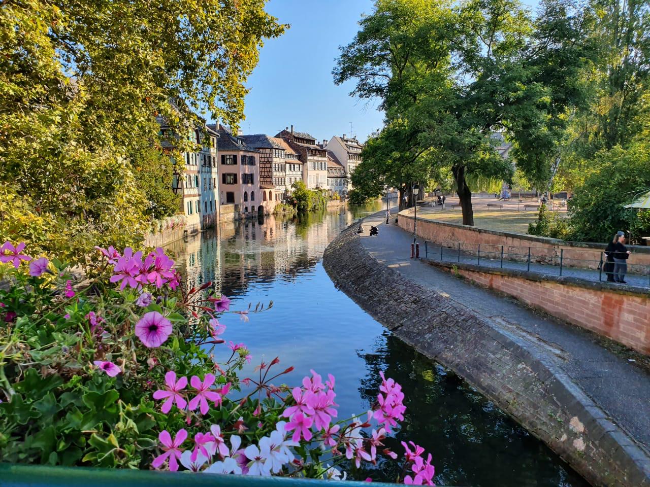 Cartell feminista reivindicatiu en francès
