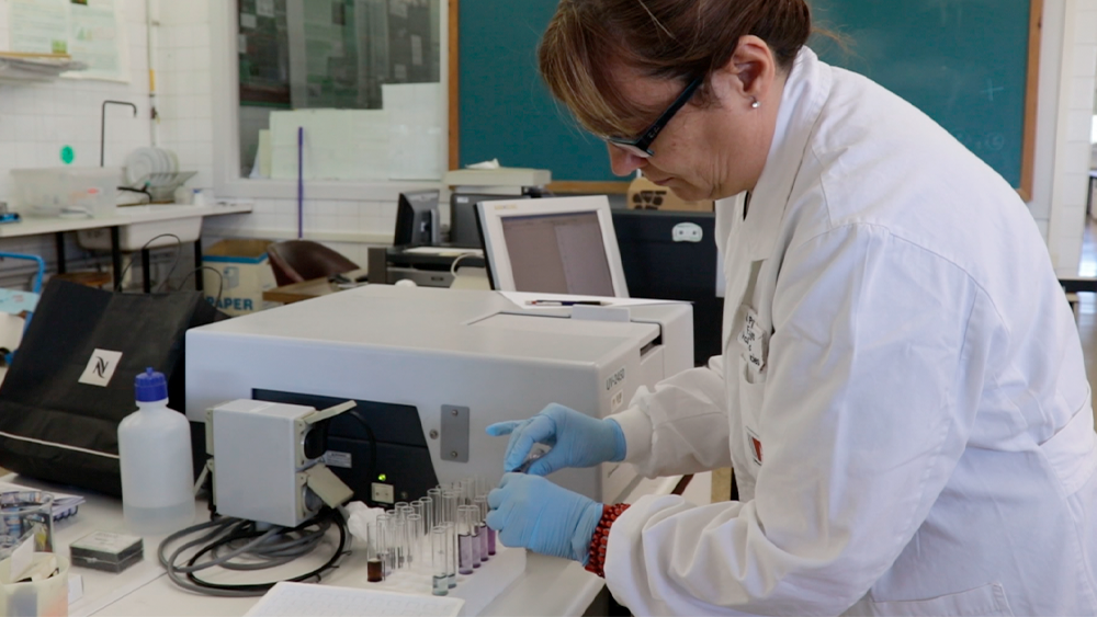 Investigadora treballant al laboratori