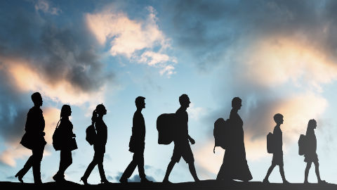 Migracions