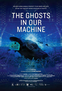 Imagen The Ghosts in Our Machine