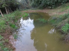 Creació d'una bassa naturalitzada