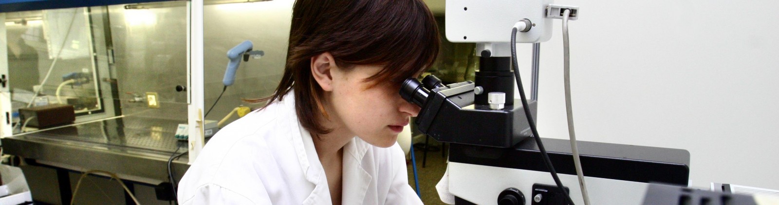 L039ICTA-UAB cerca investigadors a traves del Projecte P-SPHERE
