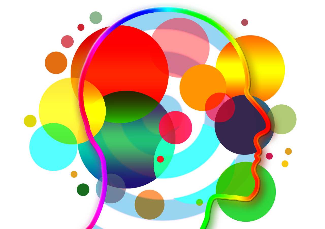 cerebrocolorido