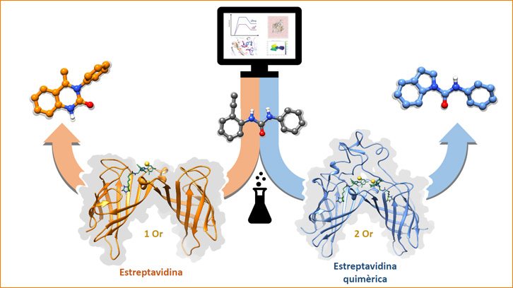 Biocatalitzadors d'or