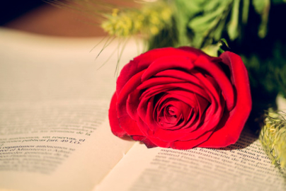 Sant Jordi
