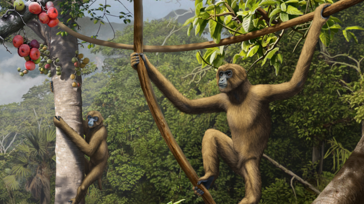 Reconstrucció dels Pliobates en el seu entorn natural.