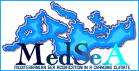 Projecte europeu MedSea