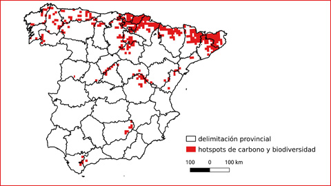 Els boscos que emmagatzemen més carboni també tenen més biodiversitat 