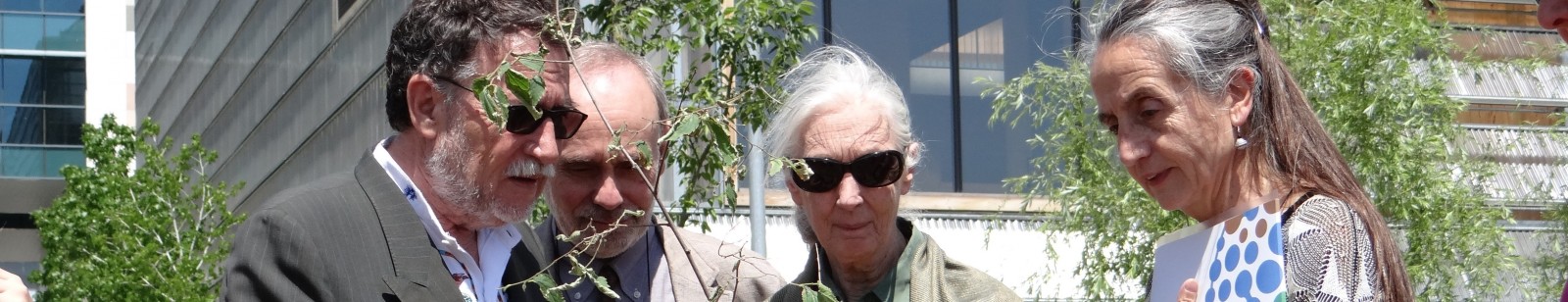 Un lledoner recorda la visita de la primatologa Jane Goodall