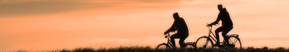 Canvis tecnologics i nous estils de vida baixos en carboni claus per mitigar els efectes del canvi c