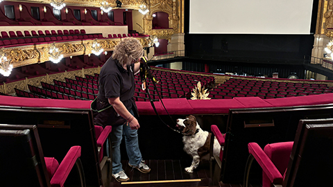 Gos de treball fent pràctiques de detecció en les instal·lacions del Liceu.