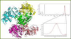 Màster oficial de Bioquímica, Biologia Molecular i Biomedicina