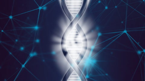 Imatge de la notícia Adapta't 