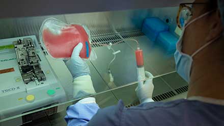 Postgrau en Donació, Processament i Administració de Productes Biològics d'Origen Humà