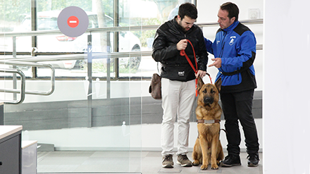 Unitats Canines d'Assistència