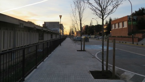 Imatge noticia plantació arbres al campus