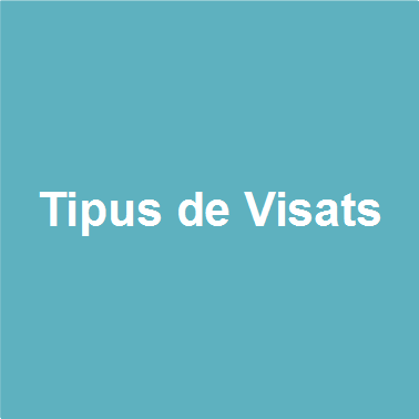 Tipos Visado