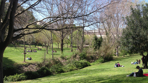 Campus de la UAB estudiants a la gespa