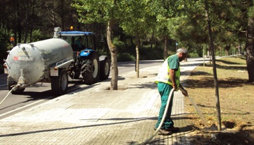 Foto reg de les zones enjardinades