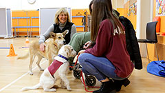 Marga Macías durant una pràctica amb gossos d'assistència