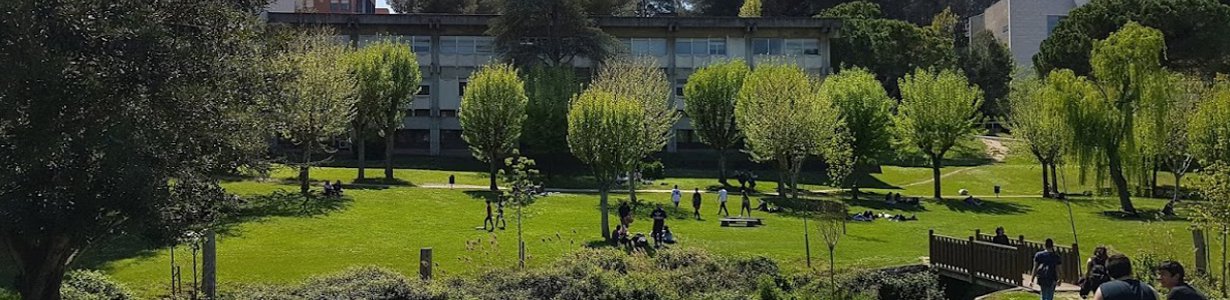 Cursos d'estiu de l'ICE 2019