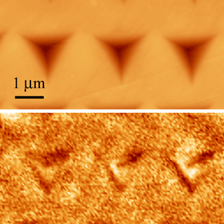 Imatge de microscòpia