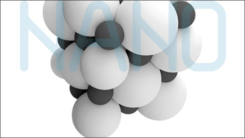 III Workshop nanomedicina IBB