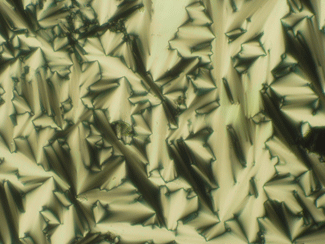 Figura 1. Micrografia òptica d'una fase esmèctica A quan s'il·lumina amb llum polaritzada (200ºC).