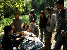 Jornada d'anellament d'aus