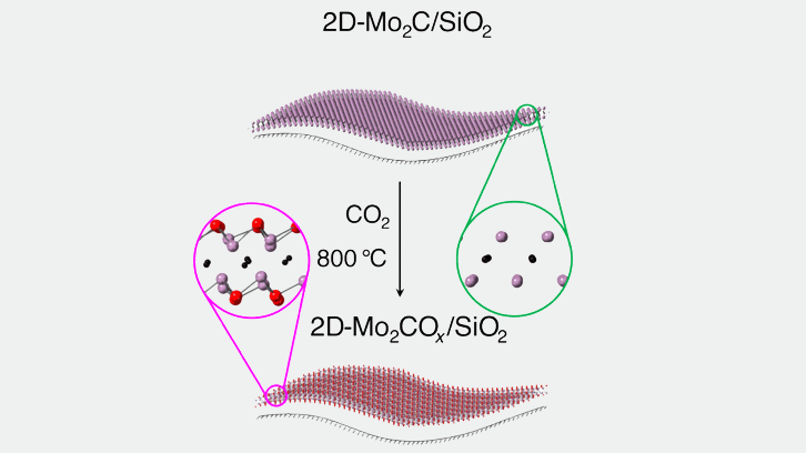 Meta-CO2