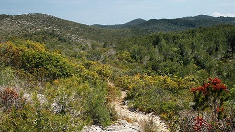 La UAB participa en un projecte per apropar el Parc del Garraf a la ciutadania