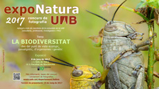 Cartell Exponatura