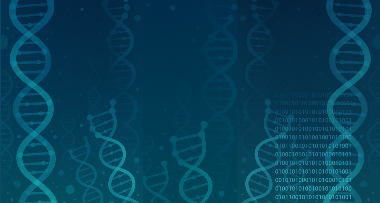 Jornadese Bioinformàtica i Genòmica
