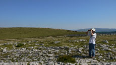 IMG_doctorat_ecologia_terrestre_foto2