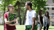 UAB Summer Programme