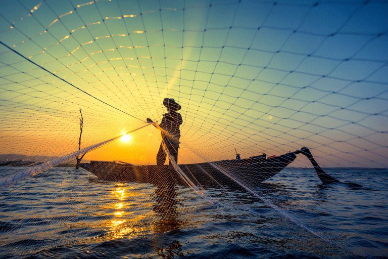 ARTISANAL FISHERS - ICTA-UAB